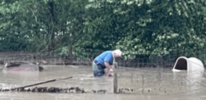 El altruismo del director de un refugio que rescata a un perro atado en un jardín durante una inundación