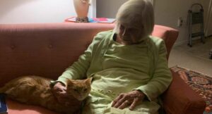 Un gato deprimido y solitario encuentra a Heidi: su nueva humana de 91 años