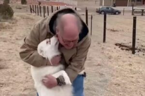 Un perro pastor sordociego se reencuentra con su dueño tras un año y medio de separación