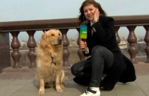 Un golden retriever roba el micrófono a una periodista en directo