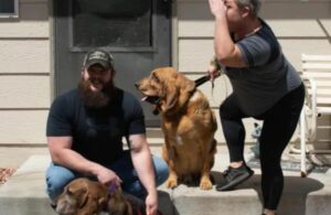 El perro del refugio nunca tuvo su propio patio, así que los dueños decidieron acomodarlo