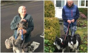 Este veterano de 74 años lleva 13 años paseando a los perros de ancianos y enfermos