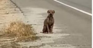 Estaba sentado en la calle, sin su «hermoso» manto manto y necesitaba amor