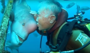 El buzo japonés visita a su mejor amigo Fish desde hace más de 25 años.