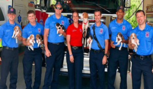 La perra embarazada deambula por la estación de bomberos, da a luz a los cachorros y encuentra un hogar para siempre