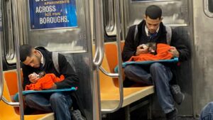 Alimentando a un gatito con biberón en el metro, la foto se vuelve viral