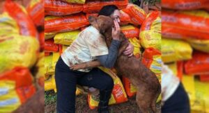 Una mujer llevó comida al refugio y fue recibida por uno de los perros con un abrazo