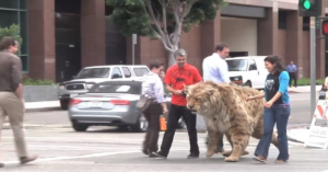 El Tigre dientes de sable se libera en la calle y se acerca peligrosamente a un niño