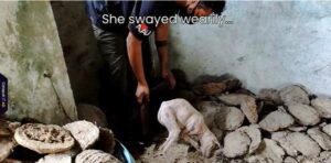 Cachorro enfermo mueve la cola con sus últimas fuerzas cuando ve a los rescatistas