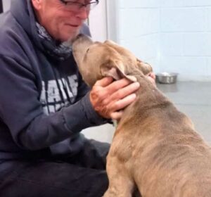 Un perro no puede creer que su padre finalmente lo encontró después de 200 días