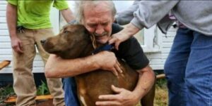 Un abuelo llevó a su perro al hospital con lágrimas en los ojos porque no tenía dinero para el tratamiento