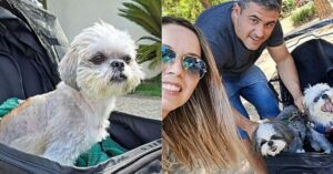 Perrito rescatado de maltrato y abuso por fin tiene la familia adoptiva que se merece