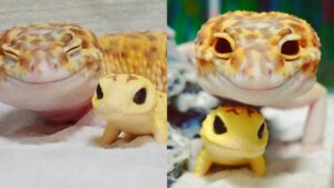 Gecko es incapaz de dejar de sonreír cuando tiene un juguete similar a él