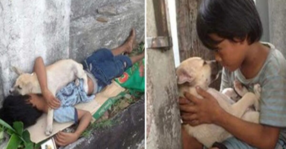 Niño Pobre Vive Con Su Perro En La Calle
