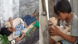 un niño sin hogar salva a un perro en la calle: la historia de una amistad que cambió su vida